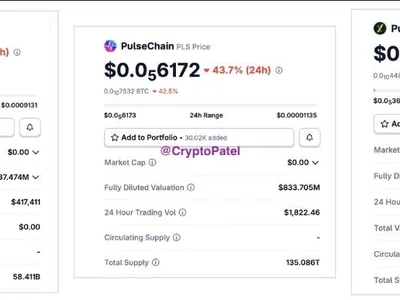 Inside PulseChain, HEX, PulseX 50% Crash Amid Richard Heart’s Arrest