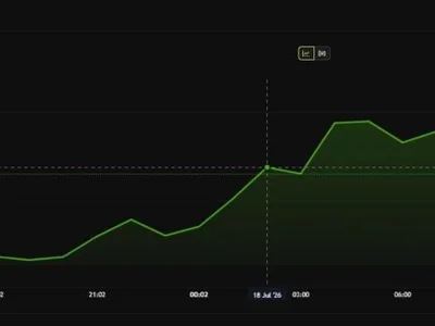 Jimothy The Raccoon Solana Token Climbs 186% After Viral Meme Fame