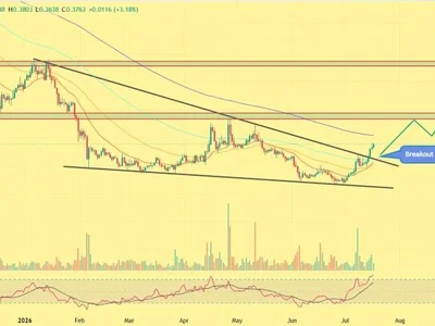 Lido DAO Price Gains as Interactive Brokers Expands Crypto Offering