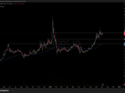 Monero XMR Tests $564 Resistance After FCMP++ Stressnet Fork