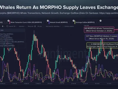 Morpho Whale Accumulation Grows, But Price Remains Range-Bound—Here’s What It Means