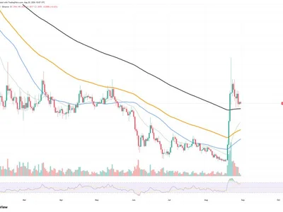 Most Important XRP Signal Delivered Right Now