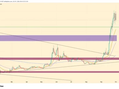 NEAR Price Slides 13% as Exploit Claims Rattle Sentiment