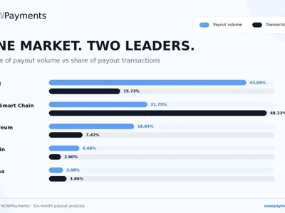 NOWPayments Releases Cross-Chain Payout Data Revealing Key Performance Benchmarks Across TRON, BNB Chain, and Solana