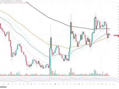 Only 1.45 Billion Shiba Inu (SHIB) Burned in 24 Hours Hints at Reversal