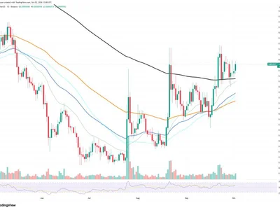 'Only' 20 Billion Shiba Inu (SHIB) Burned in 24 Hours: Main Implications for the Market