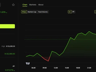Peter Schiff Calls Latest Bitcoin Rally A Sell Opportunity as BTC Approaches $65,000