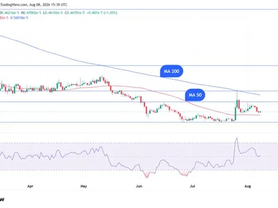 Shiba Inu Indicator Confirms Key Signal, $0.000005 Incoming?