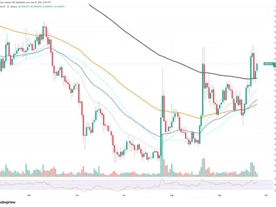 Shiba Inu (SHIB) +351% in 8 Hours: Market Volatility Goes Even Higher