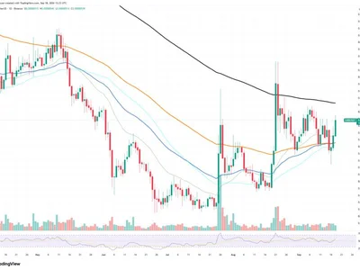 Shiba Inu (SHIB): +468 Million Tokens Added, Bears May Be Exhausted
