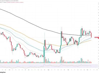 Shiba Inu (SHIB) Adds 440% in Long-Term Spot Flows, Though Short-Term Picture Is Worrying
