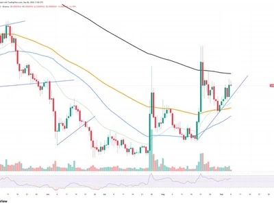 Shiba Inu (SHIB) Adds Exceptional 75 Billion to Exchanges in 24 Hours