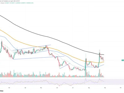 Shiba Inu (SHIB) Loses 42% of Exchange Outflows: Is Sellout Closer?