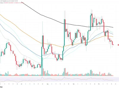 Shiba Inu (SHIB) Spot Flows Skyrocket 215% in 8 Hours: 3 Key Price Signals to Watch