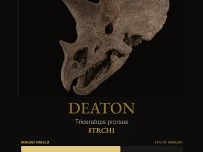 Solana Co-Founder Cheers $660,000 Tokenized Dinosaur Skull Sale