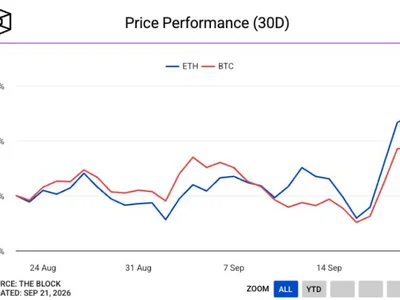 Spot bitcoin ETFs attract nearly $1 billion in largest daily inflow in 11 months