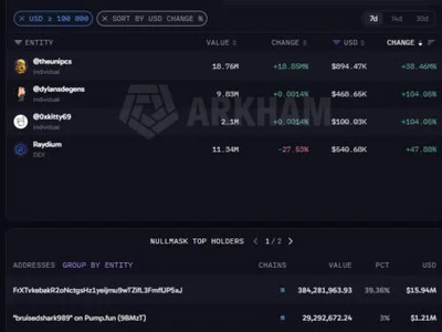 Stay Cautious: ZEC Whale Buys Nullmask (MASK), Massive Token Concentration Raises Red Flags