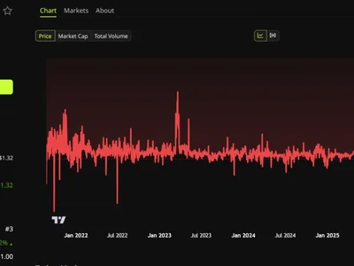 Tether USDT Gets Largest Audit in History, But One Key Number Has Fallen 40%