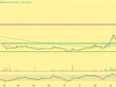These 5 Altcoins Are Seeing the Biggest Whale Accumulation Right Now
