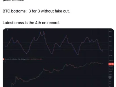 This Bitcoin Signal Has Flashed Just 4 Times In History, And The Prior 3 Coincided With Bear-Market Bottoms — Here’s What To Know