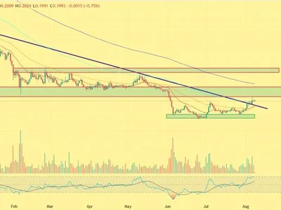 Top Altcoins to Watch This Month: These 3 Tokens Could Outperform