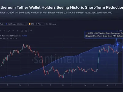 USDT Holders De-Risk as Ethereum Fees Hit Lows