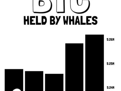 Whales Buy the Dip in Bitcoin, Ether and XRP as Prices Fall