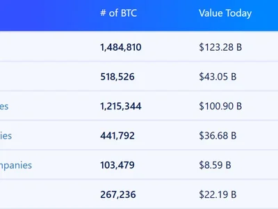 Who Really Owns Bitcoin? Wall Street vs. Ordinary People