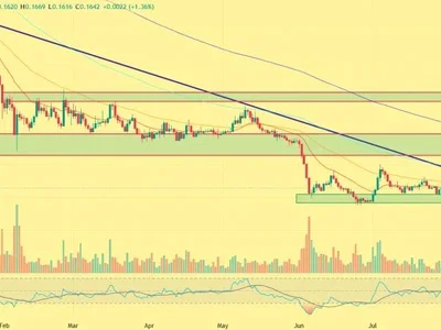 Why Everyone Is Watching Cardano Price Today