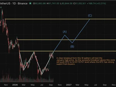 Why Is Bitcoin Price Going Up? Is a $115K Rally Next?