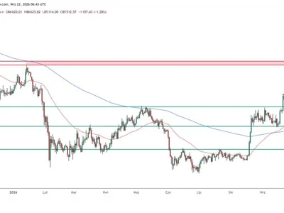 Why Is Bitcoin Up Today? BTC Price Hits Highest Level Since January Above $87,000