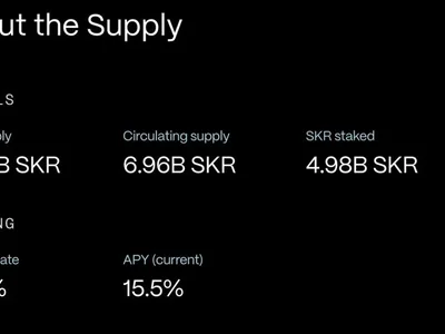 Why Is Seeker (SKR) Price Up Today? 