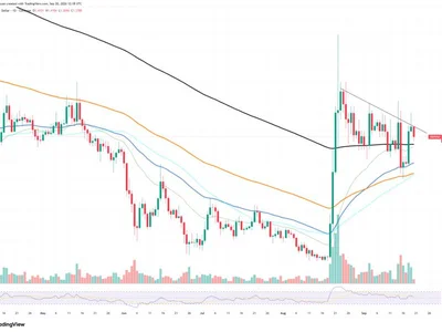 XRP Burn Rate Jumps Sharply: Major Trend Change Emerges