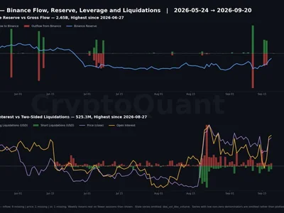 XRP Holders Rushed 663% More Tokens Onto Binance. Almost None of It Got Sold