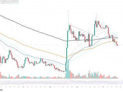 XRP Ledger Payments Volume Crashes 72%: Is This a Warning Sign for XRP?
