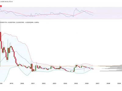 XRP Paradox: Why Ripple's 'North Star' Sinks Against USD but Prepares to Beat Bitcoin
