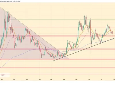 ZEC Price Climbs After Zcash Ironwood Upgrade Goes Live