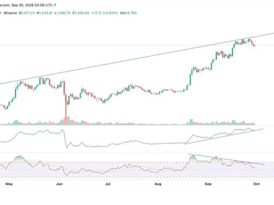 ZEC Price Consolidates as Whales Accumulate—Is Zcash Heading to $2000 in October?