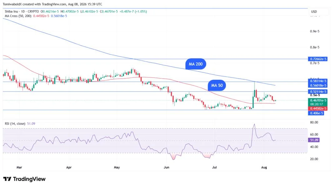 Shiba Inu Indicator Confirms Key Signal, $0.000005 Incoming?