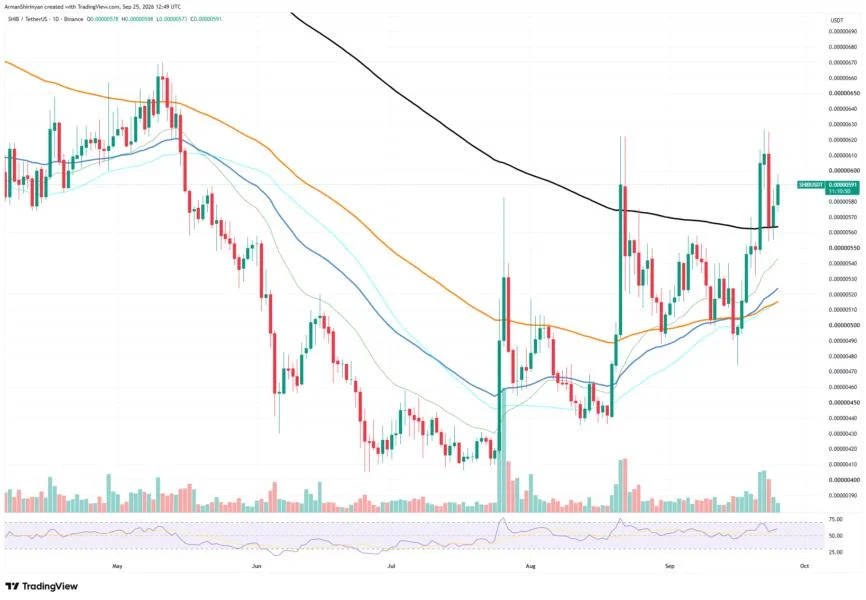 Shiba Inu (SHIB) +351% in 8 Hours: Market Volatility Goes Even Higher