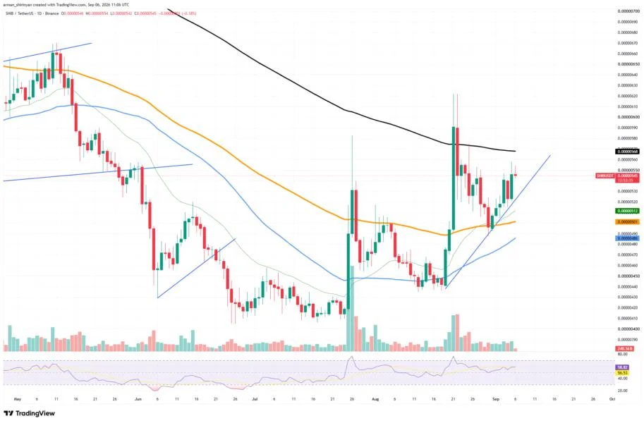 Shiba Inu (SHIB) Adds Exceptional 75 Billion to Exchanges in 24 Hours