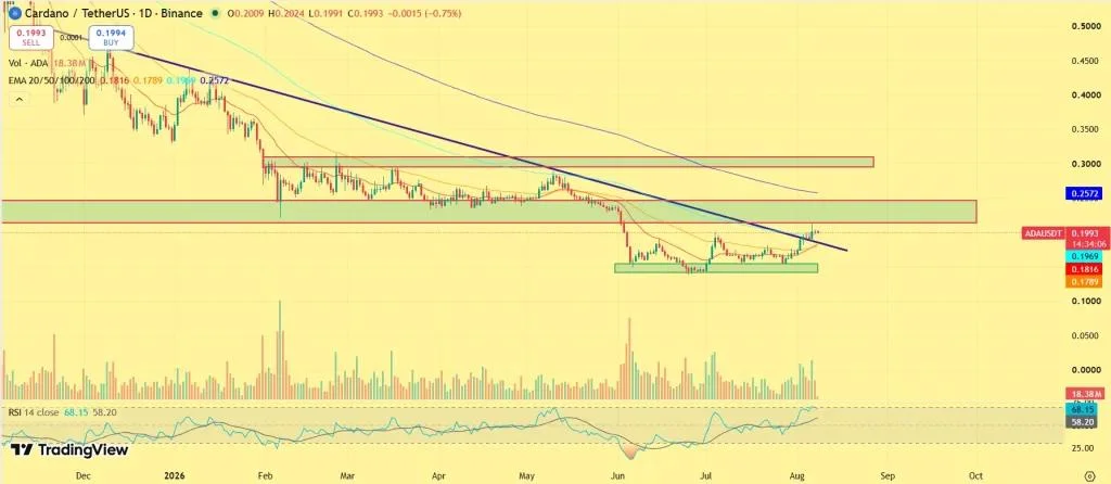 Top Altcoins to Watch This Month: These 3 Tokens Could Outperform