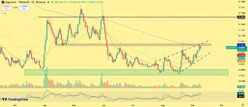 Why Algorand Is Back on Traders’ Radar as ALGO Presses Toward Resistance