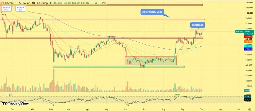 Why Is the Crypto Market Up Today?
