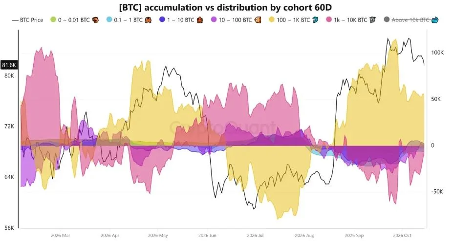 Will Bitcoin Price Rebound to $85K or Drop Below $80K Next?